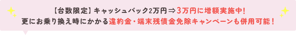 【台数限定】キャッシュバック2万円⇒3万円に増額実施中！